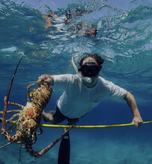 Spearfishing in the Bahamas